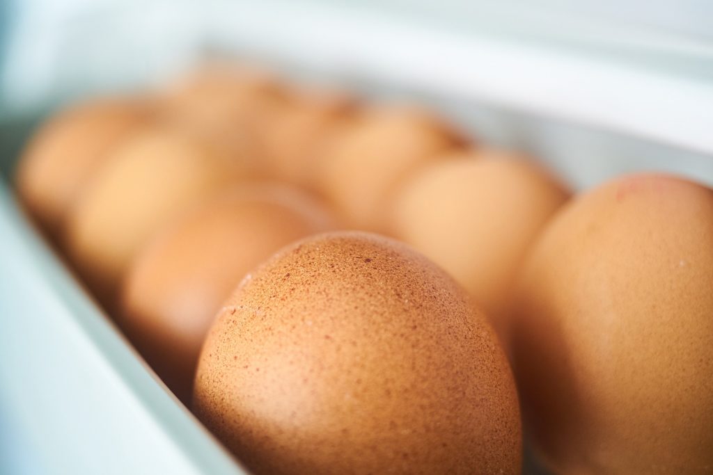 Kühlschrank Reparatur Befüllen Eier